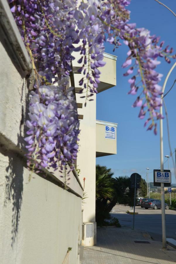 Appartamento Con Due Camere Letto Sala Cucina Bagno L'Edera Di Gavina Alghero Exterior photo